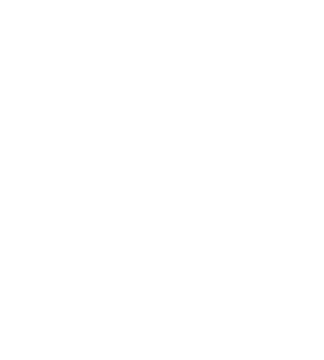 The Warranty Group (TWG)